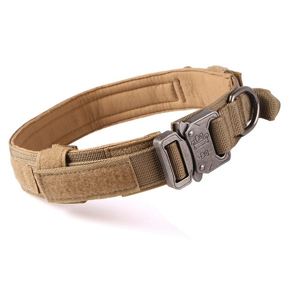 Premium Dog Collar - Neoprene Liner, Reflective Dog Collar