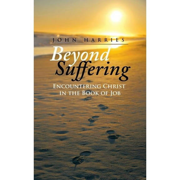 Beyond Suffering : Encountering Christ in the Book of Job