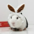 thumbnail image 6 of Pet Guinea Pig Kittens Warm Plush Hat Adjustable Headband with Cute Rabbit Ears, 6 of 8