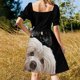 thumbnail image 5 of Vestido de manga corta con diseño de perro habanero curioso Vestidos largos vestidos de fiesta de verano para mujer, 5 of 7