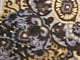 Gold Black Foil