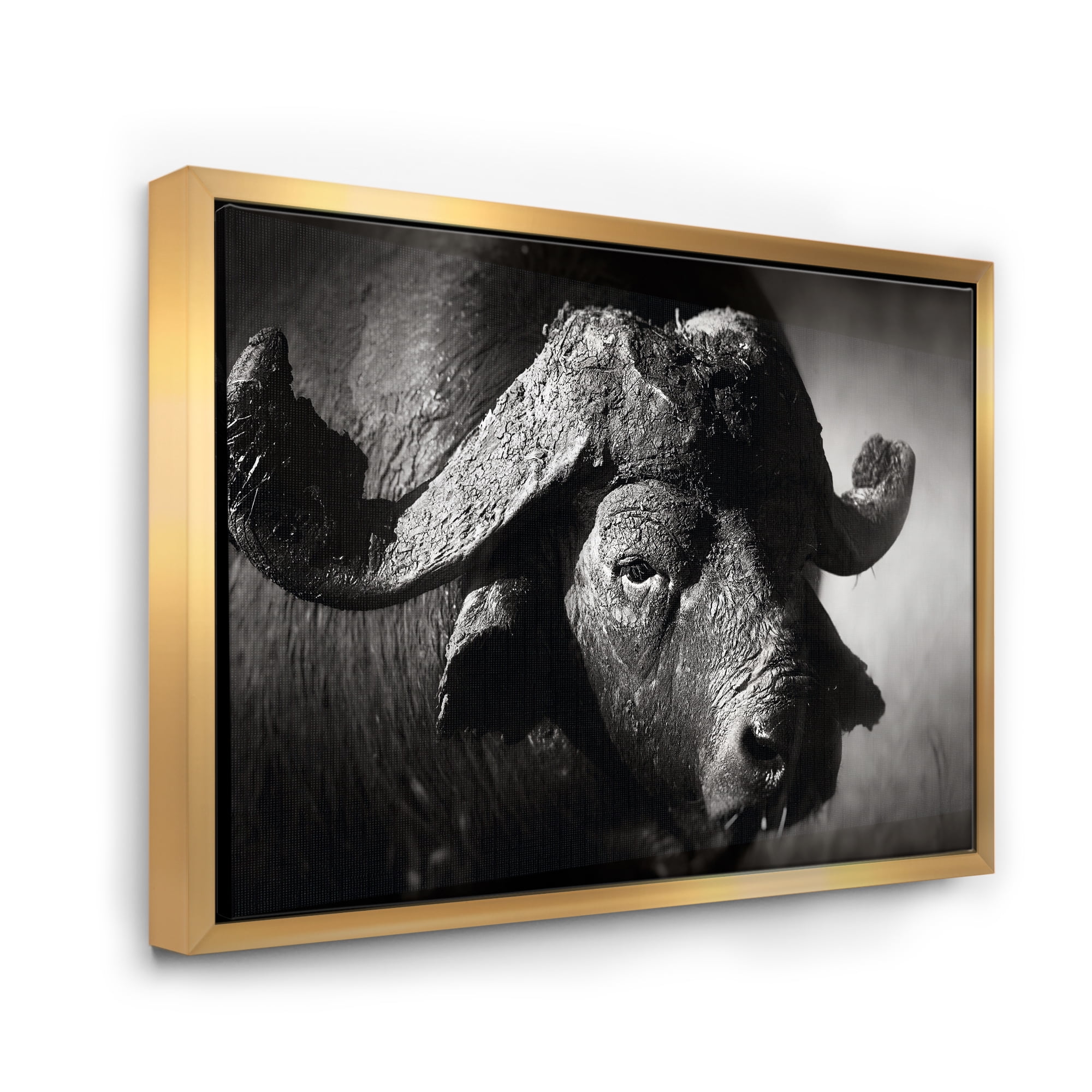 Designart 'Black and White Portrait Of Buffalo II' Farmhouse Framed Canvas Wall Art Print