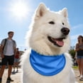 thumbnail image 4 of BotaniNest Scarf And Collar Ice Band Breathable Neck For Puppies Medium Sized Summer For Hot Weather, 4 of 6