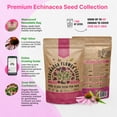 thumbnail image 5 of Echinacea Seeds Pack 4 oz – 37,500 Non-GMO Heirloom Seeds for Planting Indoors & Outdoors – Resealable Bag, Pollinator-Friendly Wildflowers, High Germination – USA Grown, 5 of 6
