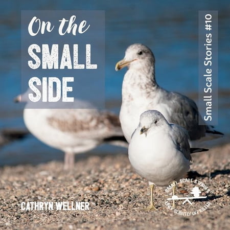 Small Scale Stories On the Small Side Book 10 (Paperback)