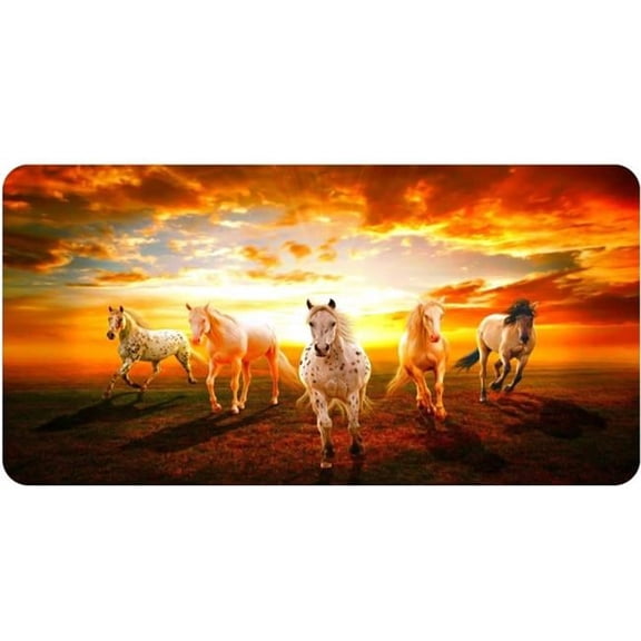 212 Main LPO5603 6 x 12 in. Horses Gallop in Sunset Photo License Plate