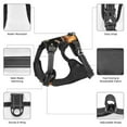 thumbnail image 6 of Gaeub Bee and Honey Gaeub Bee and Honey No Pull Dog Harness, Secure and Adjustable Pet Vest for Outdoor Activities - X-Large, 6 of 9