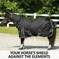 thumbnail image 2 of STORM SHIELD Blizzard II Medium Mini Turnout Horse Blanket | Black | Size 40, 2 of 9