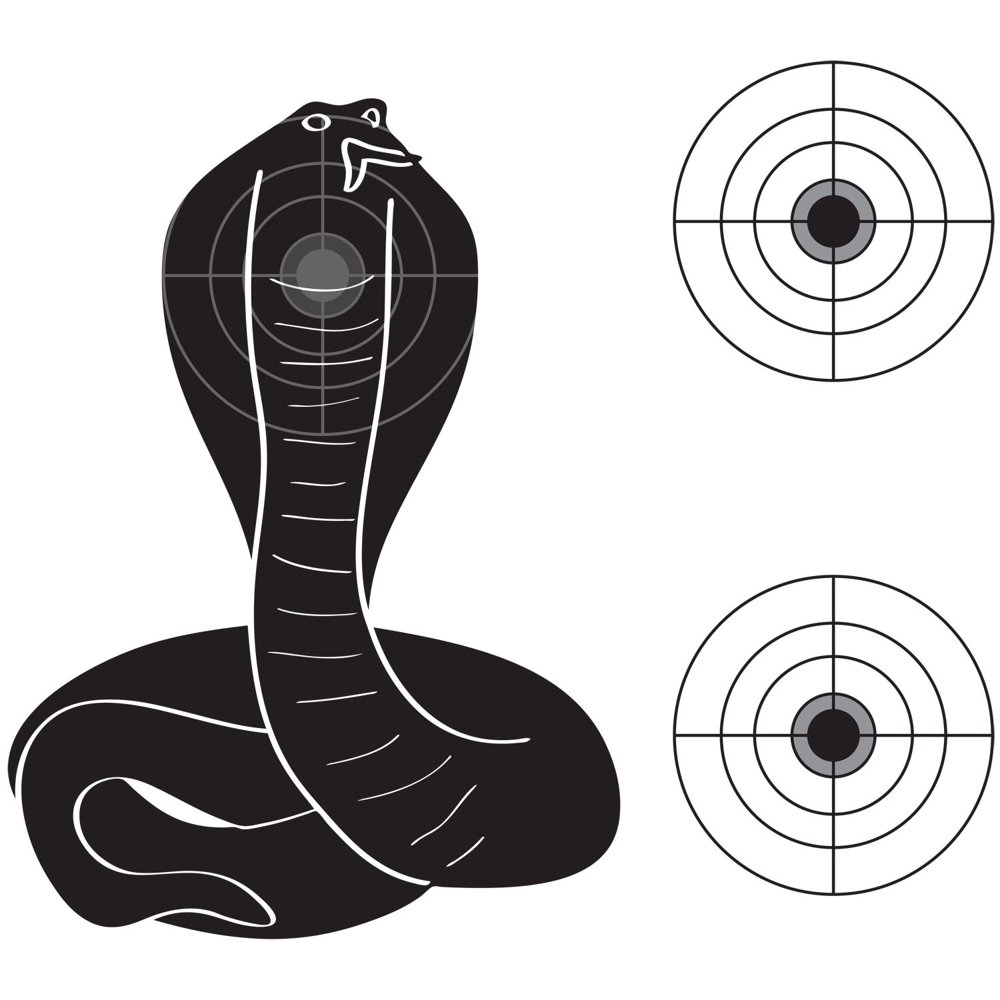 Snake Practice Target Fun Style Shooting Targets