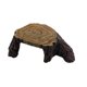 thumbnail image 4 of Cueva de reptiles, escondite, paisaje, decoración, acuario, resina 29cmx19cmx9cm, 4 of 9