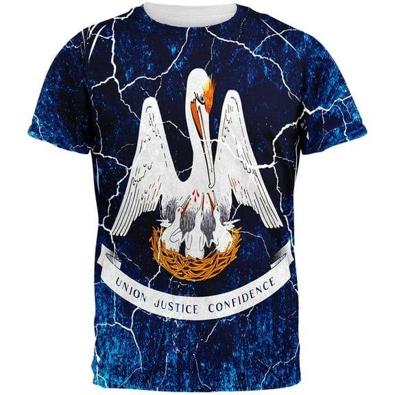 Louisiana Vintage Distressed State Flag All Over Mens T Shirt Multi X-LG