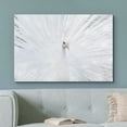 thumbnail image 2 of wall26 Canvas Print Wall Art Vibrant Bright White Peacock Bird Feathers Nature Animals Photography Realism Rustic Scenic Landscape Wilderness Zen Colorful for Living Room, Bedroom, Office - 32"x, 2 of 5