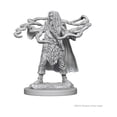 thumbnail image 2 of D&D Nolzurs Marvelous Unpainted Miniatures: Wave 1: Human Male Sorcerer, 2 of 2