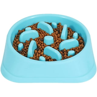 DIY Pet Feeder Station with Food Storage - Pro Tool Reviews