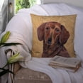 thumbnail image 3 of Carolines Treasures SC9137PW1414 Dachshund Wipe your Paws Fabric Decorative Pillow, 14Hx14W, multicolor, 3 of 4
