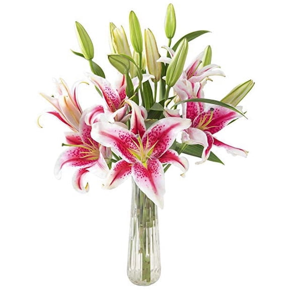 KaBloom : Sailor's Sunset Bouquet of 5 Fresh Pink Lilies with Vase, Next-Day Delivery