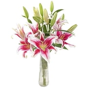 KaBloom : Sailor's Sunset Bouquet of 5 Fresh Pink Lilies with Vase, Next-Day Delivery