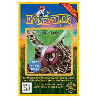 morning glory from seed The Old Farmer's Almanac Premium Morning Glory Seeds (Heavenly Blue) main image 0