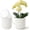 White, variant on 2 Pack of 6in Ceramic Cachepot with Clear Orchid Pot - self Watering Indoor Planter with Drainage for Root Visibility,semi Hydro pots for repotting Orchid,White