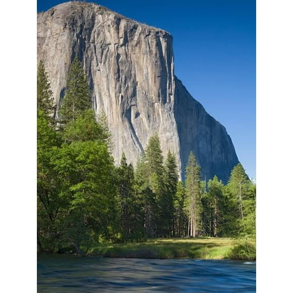 A NEW El Capitan and Merced River. Yosemite National Park, CA Canvas Posters Framed/Unframed