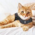 thumbnail image 4 of Chaqueta Cat Anxiety Thundershirt Classic Heather Grey M, 4 of 6