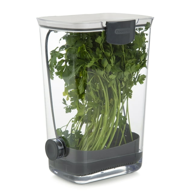 Progressive International PKS-930 Plastic ProKeeper Herb Keeper, 1 Piece, White