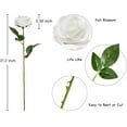 thumbnail image 6 of Zukuco 10 Pack Artificial Silk Flowers Faux Rose Flower Long Stems Bouquet for Bridal Arrangement Wedding Centerpiece Party Home Kitchen Decor(White), 6 of 6