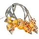 thumbnail image 1 of Cadena de Luces con Temática Playera, Conchas y Caracolas LED, Luces Decorativas, y Luces Ambientales, 1 of 5