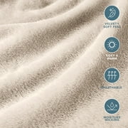 Bare Home Microplush Fleece Sheet Set - Ultra Soft - Deep Pocket - Twin, Sand