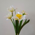 thumbnail image 2 of Luz Nocturna De Narcisos Luz LED para jarrón de narcisos con enchufe USB o adorno de iluminación alimentado por batería (blanco), 2 of 8