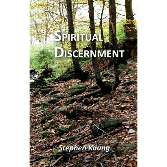 Spiritual Discernment