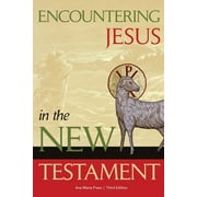 AVE MARIA PRESS Encountering Jesus in the New Testament (Paperback)