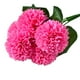 thumbnail image 1 of Ramo de flores artificiales de 5 cabezas, ceremonia de fiesta de boda, decoración floral, tela de seda, flor falsa con hojas, rosa oscuro Yuarrent HA6561-08B, 1 of 6