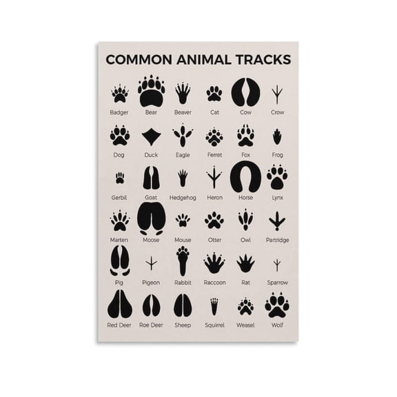Animal Tracks Poster Educational Canvas Wall Art Aesthetic Decorative Painting Living Room