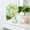 E, variant on VAIFTILNO Hydrangea Artificial Flower – 19.3in Realistic Artificial Hydrangea Flowers Artificial Flowers Dry Flowers for Living Room, Dining Table, Wedding, Home Decor (More Colors)
