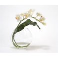 thumbnail image 1 of Orchidée de Cymbidium Blanc de Waterlook avec Feuille Tropicale dans un Vase à Disque, 1 of 1
