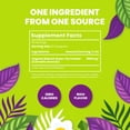 thumbnail image 6 of Cederberg Tea Company Organic Japanese Matcha  Tea Powder, 4 oz (113 g) | Premium Green Herbal , Culinary Grade | Antioxidant-Rich, Non-GMO, 6 of 7
