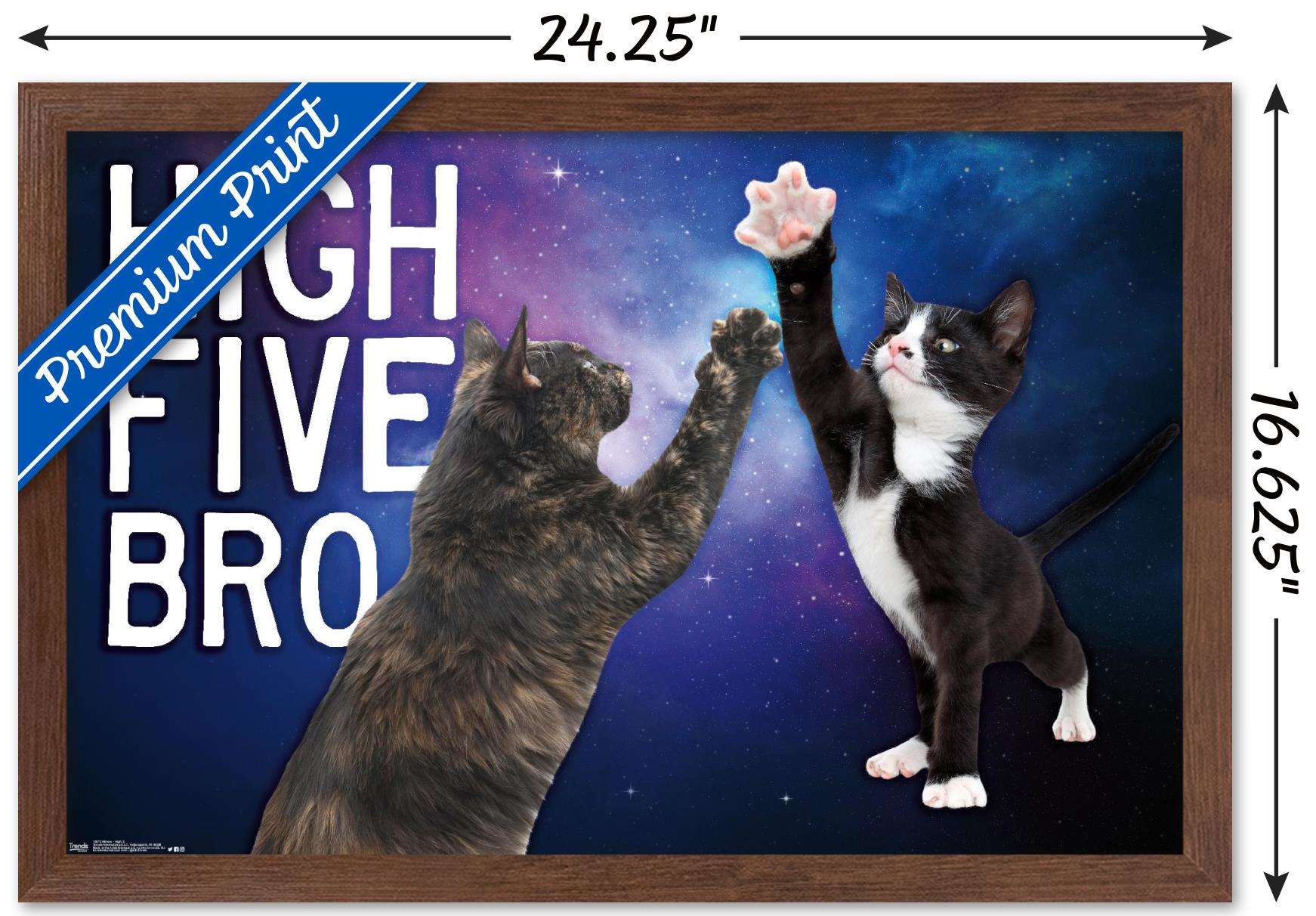 Keith Kimberlin - Kittens - High Five Bro in Space Wall Poster, 14.725" x 22.375", Framed