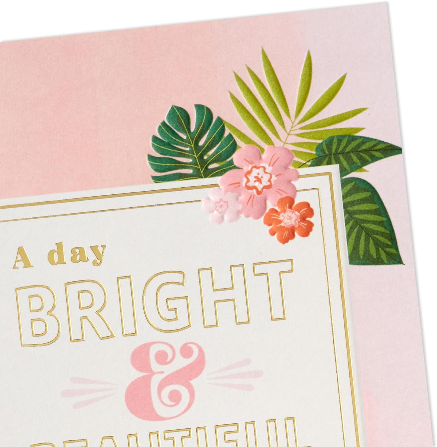 Elegant All-Occasion Card Assortment (12 Cards with Envelopes, Refill Pack Card Organizer Box) Birthday, Thank You, Sympathy