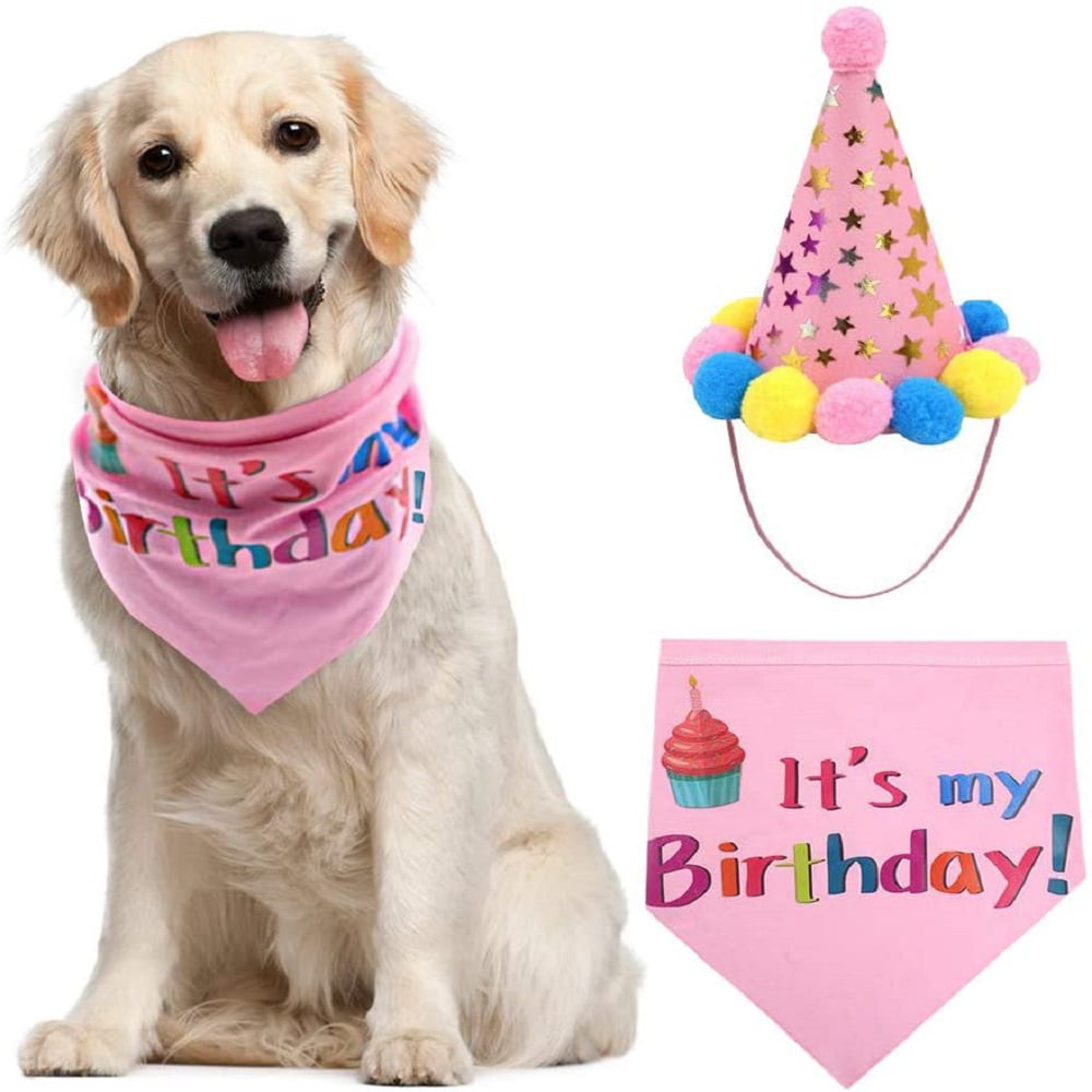 Dog Collar Dog Hat Cat Kitty Dog Puppy Pig Birthday Pet Birthday Birthday Hat Dog Party Hat Animal Hat