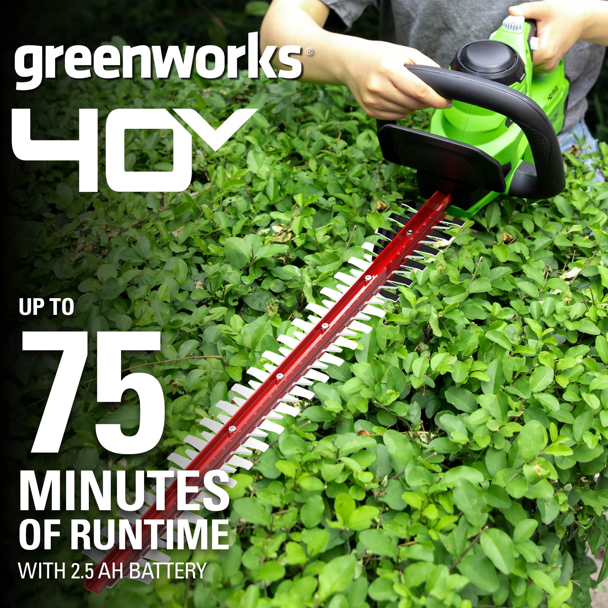 Greenworks 40V 24-inch Hedge Trimmer with 2.5 Ah Battery and Quick Charger, 2207902
