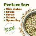 thumbnail image 5 of Whole Green Lentils, 20 Pounds — Sproutable, Kosher, Raw, Vegan — by Food to Live, 5 of 7