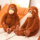 thumbnail image 5 of Simulation Monkey Orangutan Doll Super Soft Stuffed Animals Plush Toys Shoulder Bag Cartoon Sofa Decor Boys Girls Birthday Gifts, 5 of 5