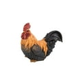 thumbnail image 6 of Hi-Line Gift Ltd Rooster Squatting, 6 of 6