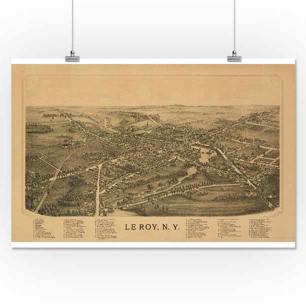 Le Roy, New York Panoramic Map (16x24 Giclee Gallery Print, Wall