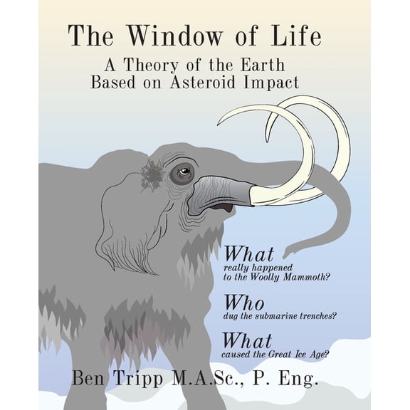 The Window of Life (Paperback)
