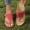 Red, variant on YLOMAY Women Sandals Women's Spring and Summer New Big Size Clip-toe Beach Flower Hollow-out Wedges Fashion Casual Slippers All-Day Sightseeing Sandals up to 30% off