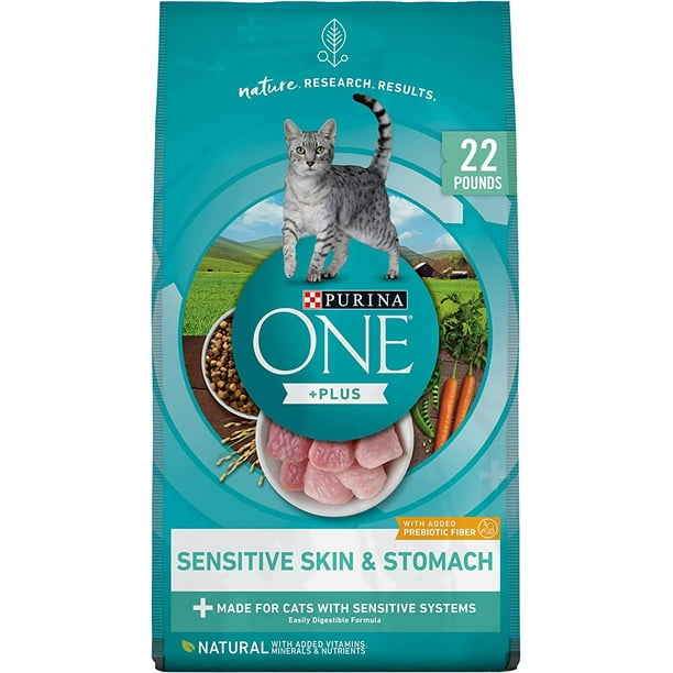 Purina ONE Sensitive Skin & Stomach with Real Turkey, Natural Adult Dry