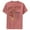 Red Heather, variant on Boy's Justice League Flash To Do List  Performance Graphic Tee Red Heather Large