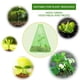 thumbnail image 5 of Ganfancp 10Pc Cubierta Protectora Vegetal Caracol Bloque Circular Espesado Verde Transparente, 5 of 7
